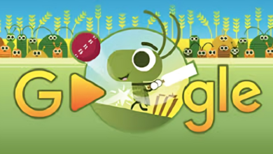 Google Doodle Cricket