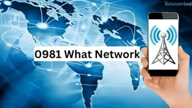 0981 What Network